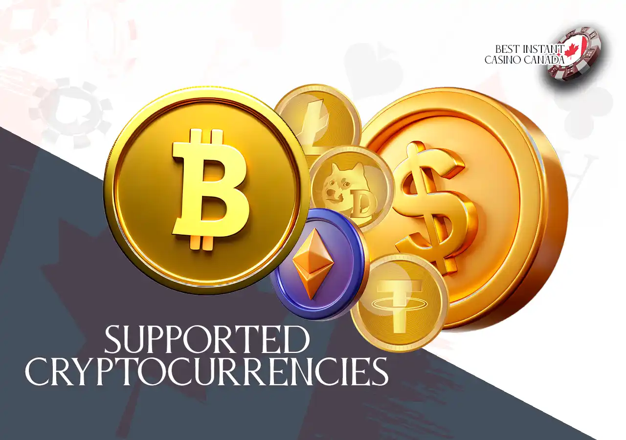 A minimalist line of cryptocurrencies